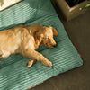 Washable Pet Bed – All-Season Removable Kennel
