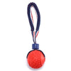 Interactive Rope Ball Toy – Dog Chew & Training Ball