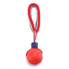 Interactive Rope Ball Toy – Dog Chew & Training Ball