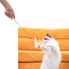 Interactive Pet Toy – Fixed Household Play Accessory