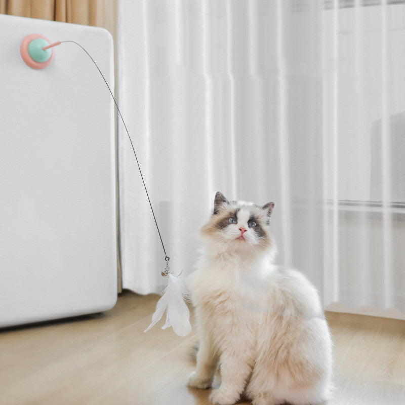 Interactive Pet Toy – Fixed Household Play Accessory