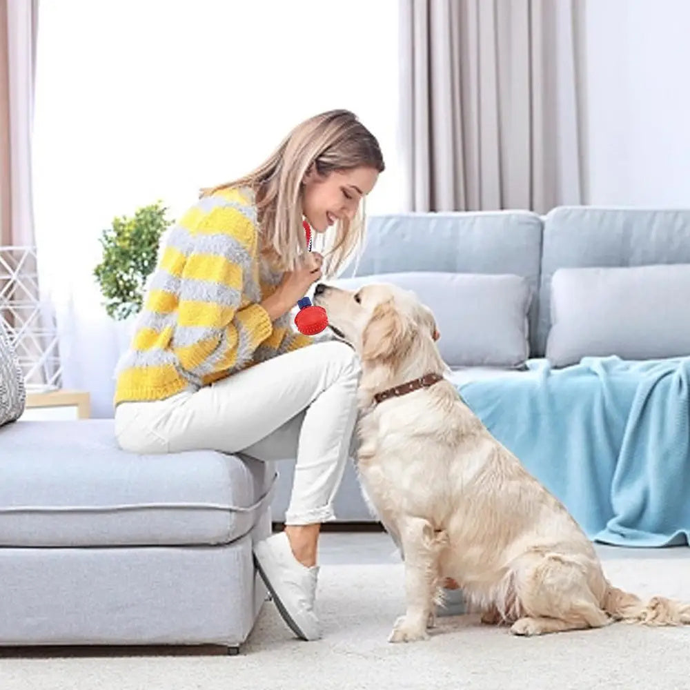 Interactive Rope Ball Toy – Dog Chew & Training Ball