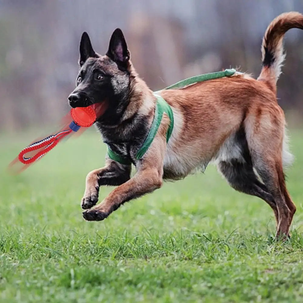 Interactive Rope Ball Toy – Dog Chew & Training Ball