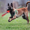 Interactive Rope Ball Toy – Dog Chew & Training Ball